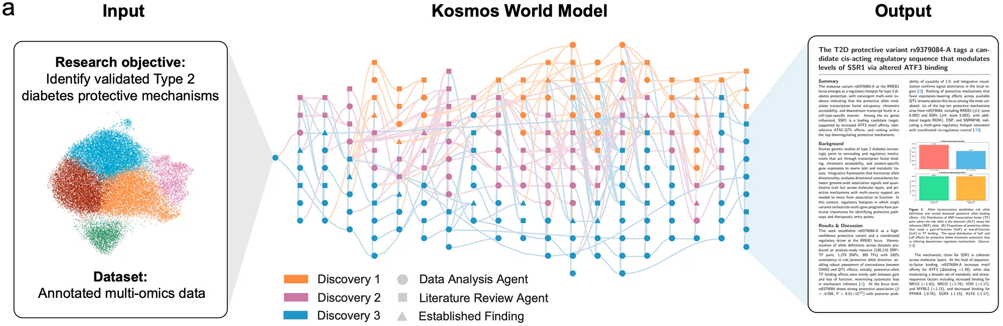 kosmos info